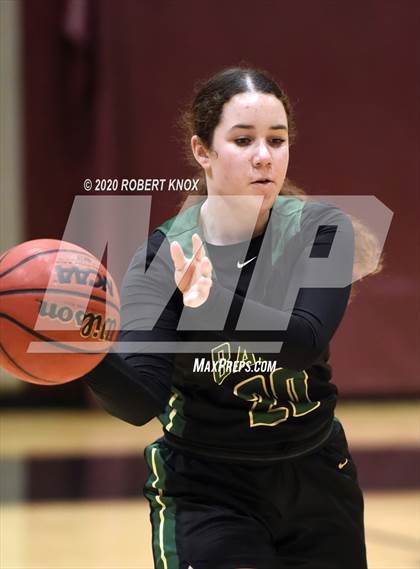 Thumbnail 1 in Basha @ Hamilton photogallery.
