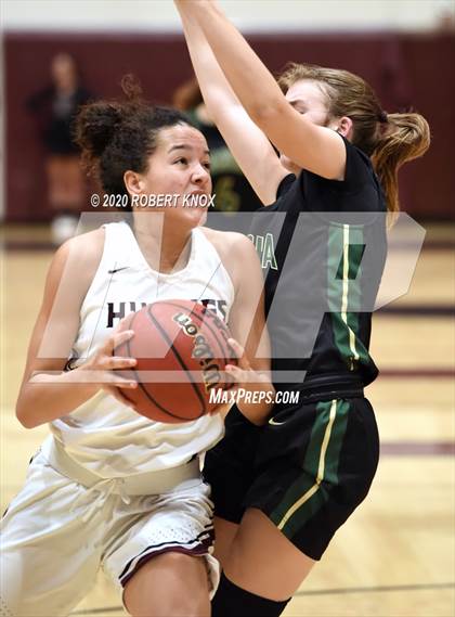 Thumbnail 1 in Basha @ Hamilton photogallery.