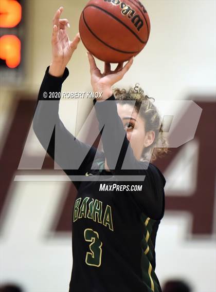Thumbnail 1 in Basha @ Hamilton photogallery.