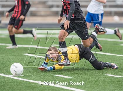 Thumbnail 3 in Bowie @ Anderson photogallery.