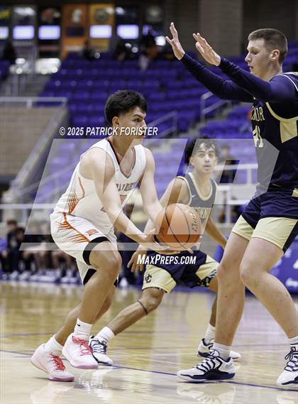 Thumbnail 1 in O'Connor @ Brandeis photogallery.