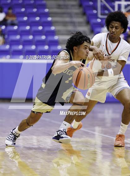 Thumbnail 2 in O'Connor @ Brandeis photogallery.