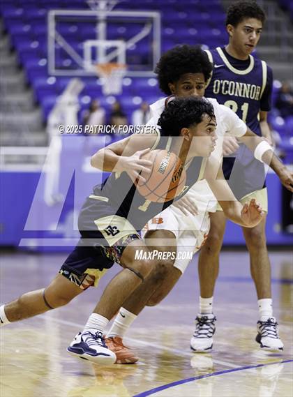 Thumbnail 3 in O'Connor @ Brandeis photogallery.