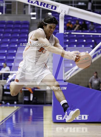 Thumbnail 3 in O'Connor @ Brandeis photogallery.