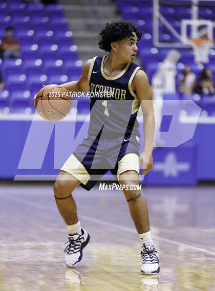 Thumbnail 1 in O'Connor @ Brandeis photogallery.