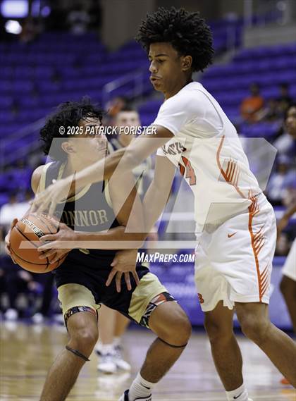 Thumbnail 2 in O'Connor @ Brandeis photogallery.