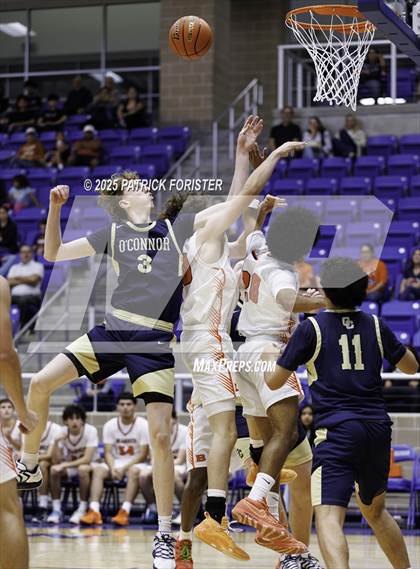 Thumbnail 2 in O'Connor @ Brandeis photogallery.