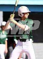 Photo from the gallery "Flagstaff @ Cactus"