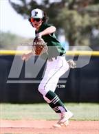 Photo from the gallery "Flagstaff @ Cactus"