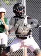 Photo from the gallery "Flagstaff @ Cactus"