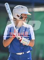 Photo from the gallery "Tamalpais @ Terra Linda"