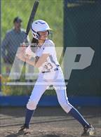 Photo from the gallery "Tamalpais @ Terra Linda"