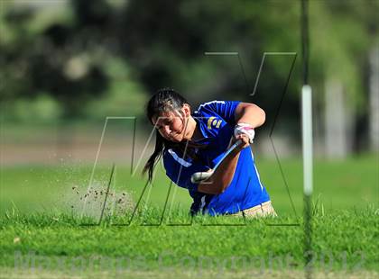 Thumbnail 1 in Charter Oak vs. Ayala photogallery.