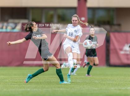 Thumbnail 2 in Mountain Vista vs. Ralston Valley (CHSAA 5A Semifinal) photogallery.