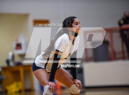 Thumbnail 3 in Harlan vs O'Connor photogallery.