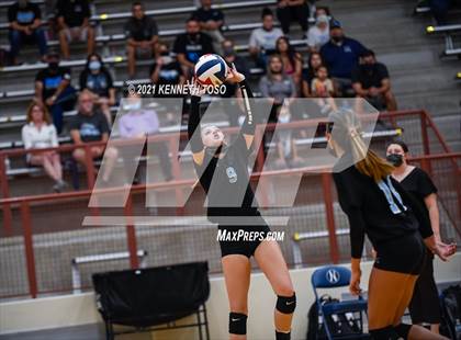 Thumbnail 1 in Harlan vs O'Connor photogallery.