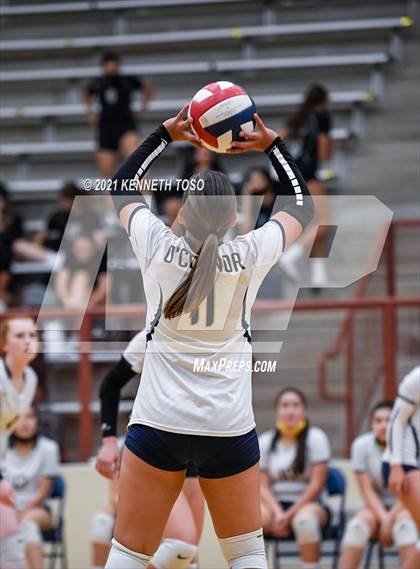 Thumbnail 3 in Harlan vs O'Connor photogallery.
