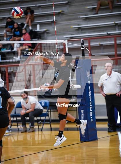 Thumbnail 2 in Harlan vs O'Connor photogallery.