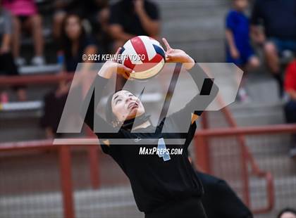 Thumbnail 2 in Harlan vs O'Connor photogallery.