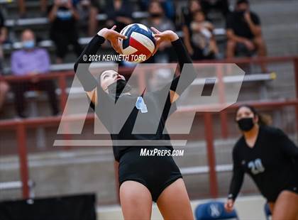 Thumbnail 3 in Harlan vs O'Connor photogallery.