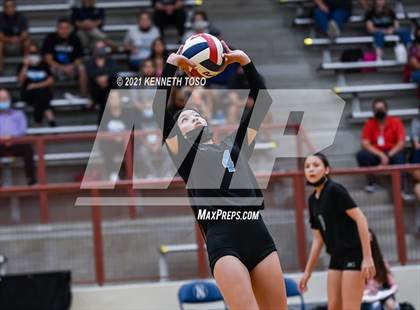 Thumbnail 1 in Harlan vs O'Connor photogallery.