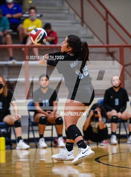 Thumbnail 1 in Harlan vs O'Connor photogallery.