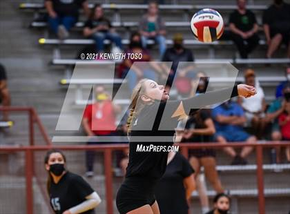 Thumbnail 2 in Harlan vs O'Connor photogallery.