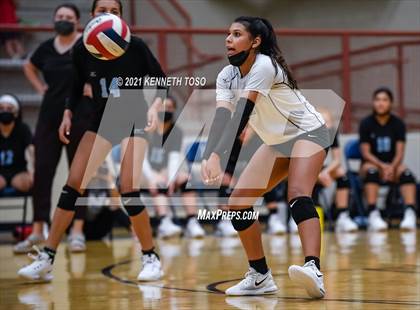 Thumbnail 1 in Harlan vs O'Connor photogallery.