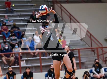 Thumbnail 2 in Harlan vs O'Connor photogallery.