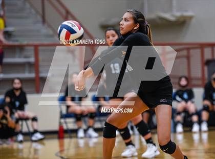 Thumbnail 1 in Harlan vs O'Connor photogallery.