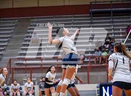 Thumbnail 1 in Harlan vs O'Connor photogallery.