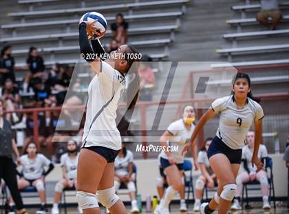 Thumbnail 2 in Harlan vs O'Connor photogallery.