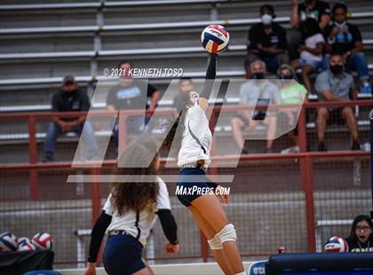 Thumbnail 2 in Harlan vs O'Connor photogallery.