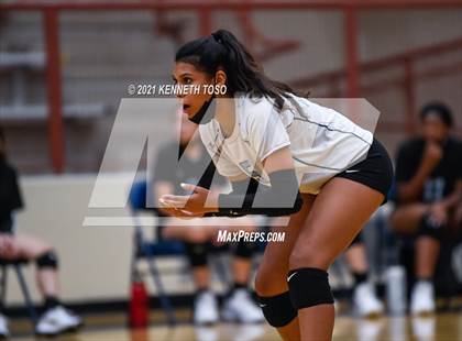 Thumbnail 3 in Harlan vs O'Connor photogallery.