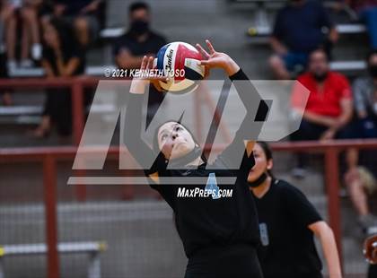 Thumbnail 1 in Harlan vs O'Connor photogallery.