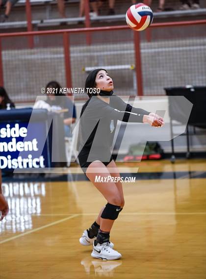 Thumbnail 3 in Harlan vs O'Connor photogallery.