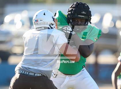 Thumbnail 3 in Narbonne vs Grant (Scrimmage) photogallery.