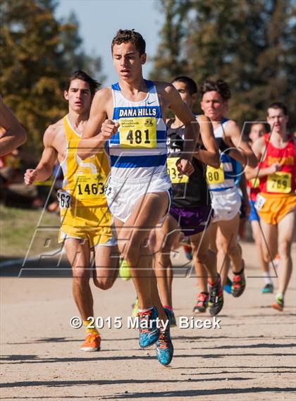 Thumbnail 1 in CIF State Cross Country Championships (D1 Boys Race) photogallery.