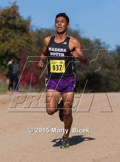 Thumbnail 2 in CIF State Cross Country Championships (D1 Boys Race) photogallery.