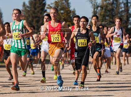 Thumbnail 1 in CIF State Cross Country Championships (D1 Boys Race) photogallery.