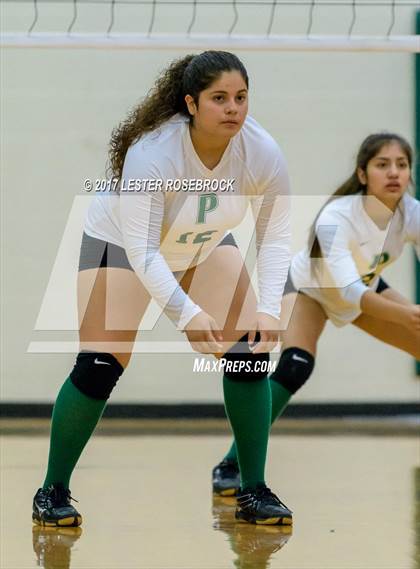Thumbnail 1 in Floresville vs. Pearsall (Pearsall VB Tournament) photogallery.