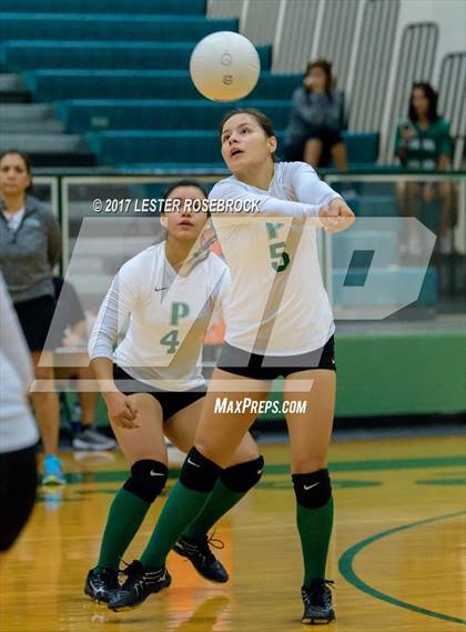 Thumbnail 1 in Floresville vs. Pearsall (Pearsall VB Tournament) photogallery.