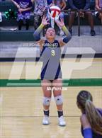 Photo from the gallery "Highland Park @ Reedy"