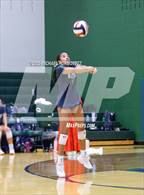 Photo from the gallery "Highland Park @ Reedy"