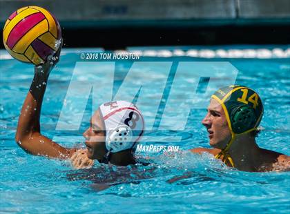 Thumbnail 1 in Damien vs Ayala (D2 Showcase) photogallery.