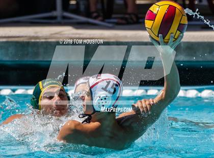 Thumbnail 2 in Damien vs Ayala (D2 Showcase) photogallery.