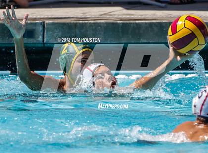 Thumbnail 3 in Damien vs Ayala (D2 Showcase) photogallery.