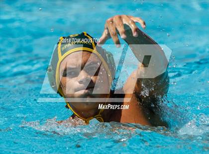 Thumbnail 2 in Damien vs Ayala (D2 Showcase) photogallery.