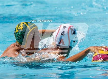 Thumbnail 3 in Damien vs Ayala (D2 Showcase) photogallery.