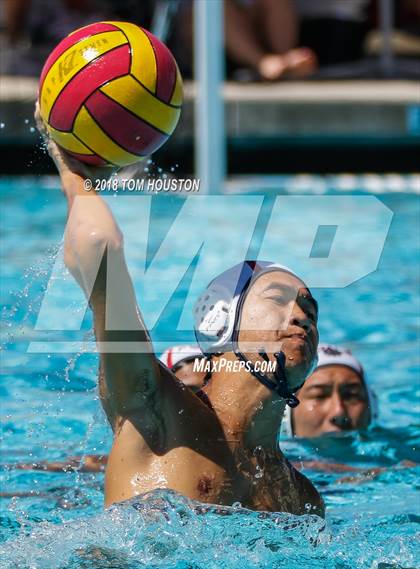 Thumbnail 3 in Damien vs Ayala (D2 Showcase) photogallery.